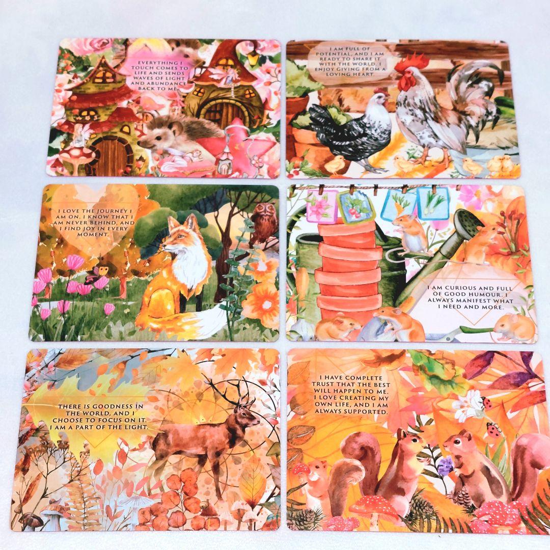 新品 ピンクエッジ♡アニマルオーラ錬金術 オラクルカード 全47枚 訳