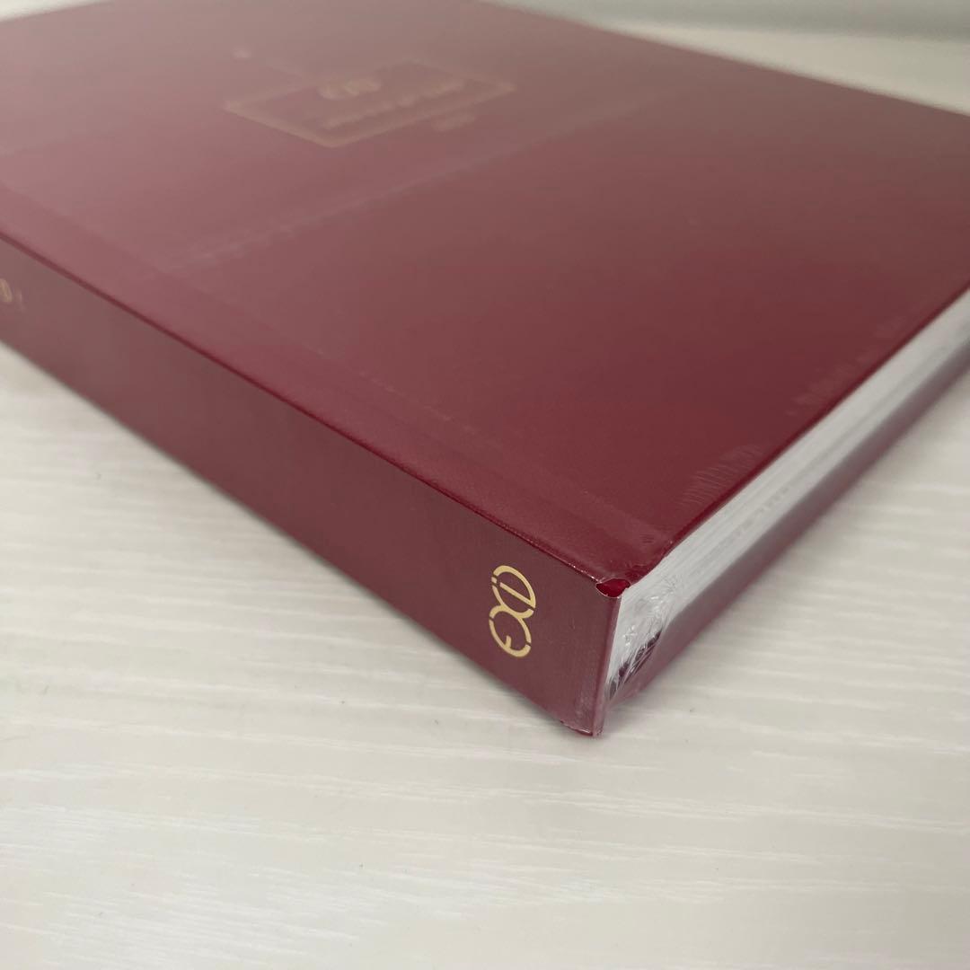 【新品未開封】5周年 Photobook whoz that girl?