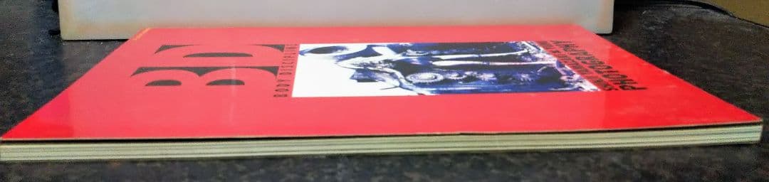 フールズメイト1月号増刊 BD BODY DISCIPLINE 写真集