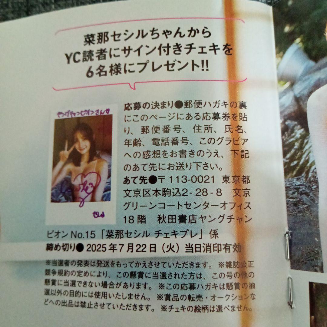 ヤングチャンピオン2025・NO．15（クリアファイル無し）