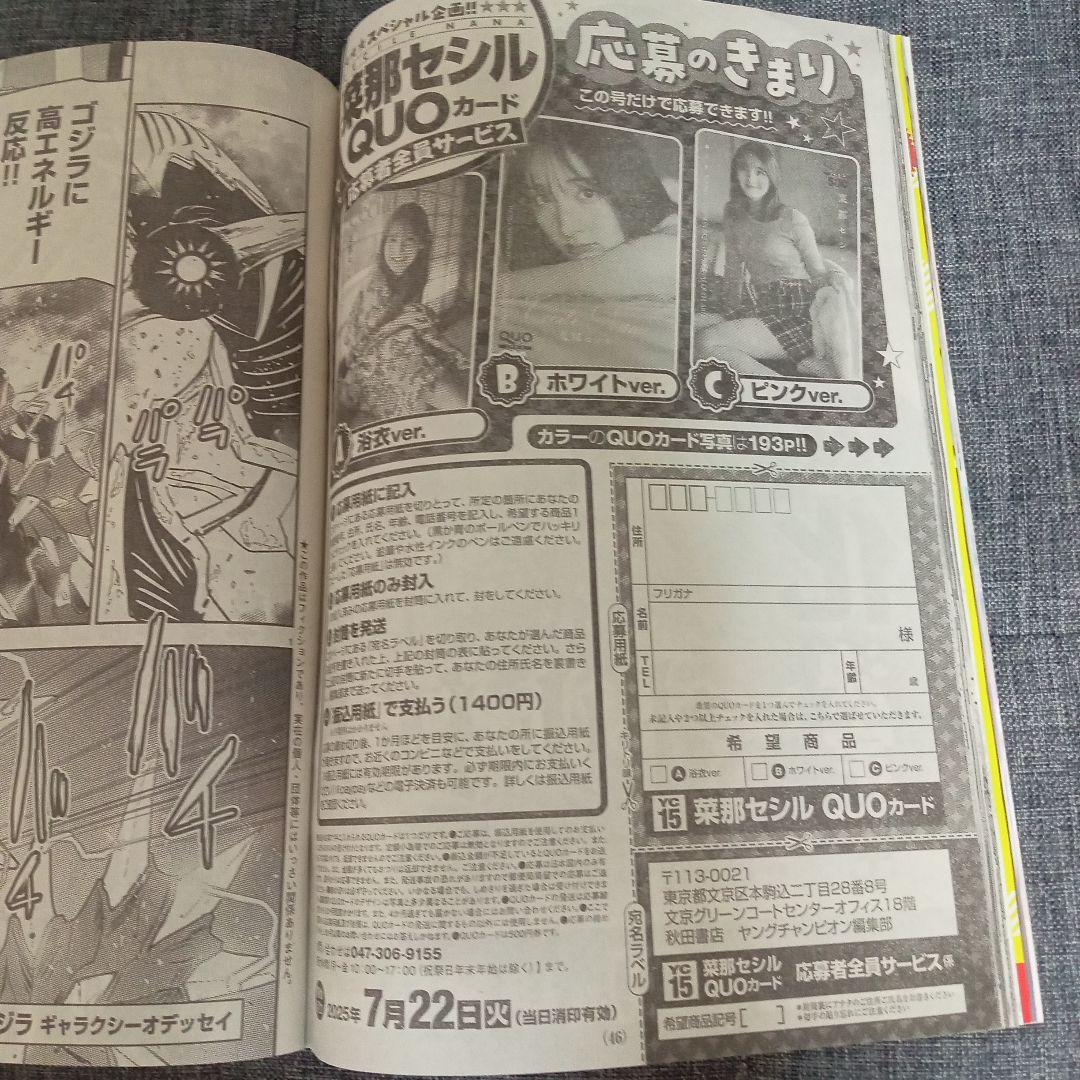 ヤングチャンピオン2025・NO．15（クリアファイル無し）