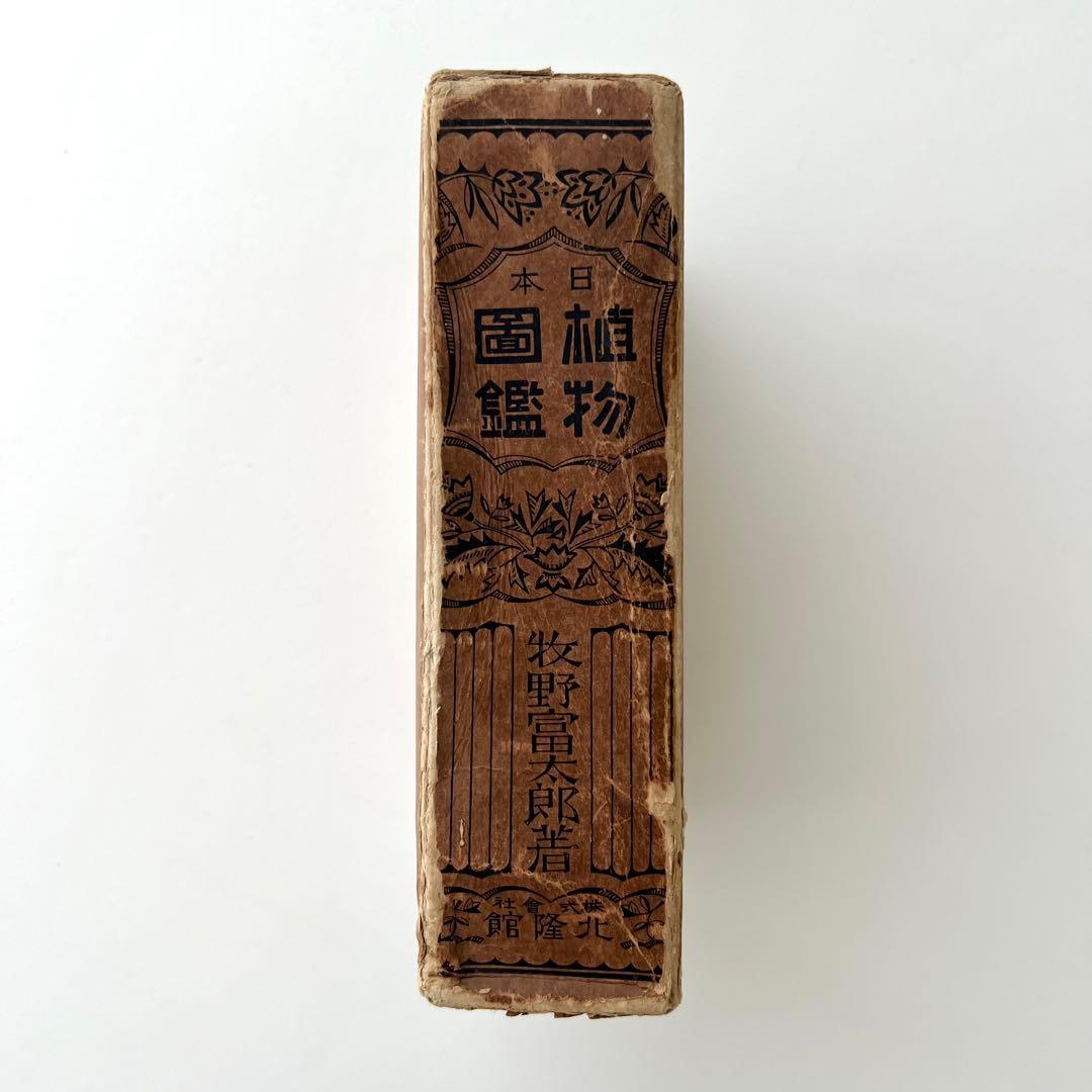 日本植物図鑑 牧野富太郎 北隆館 1925年初版 日本植物図鑑 牧野富太郎