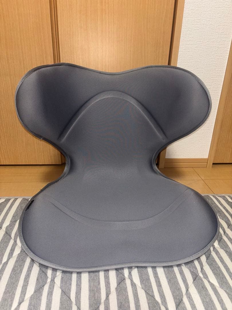 【最終値下げ】MTG Style SMARTスタイルスマート 姿勢サポートチェア Style（スタイル） ○ポイント10倍！○ MTG公式ストア スマート Style