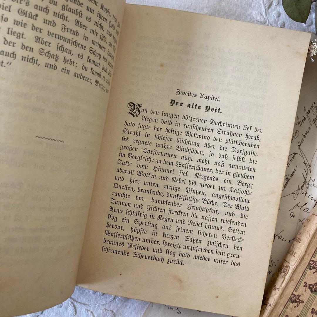 L288洋書古書 1904年発行 ドイツ お花の装丁が美しいアンティーク