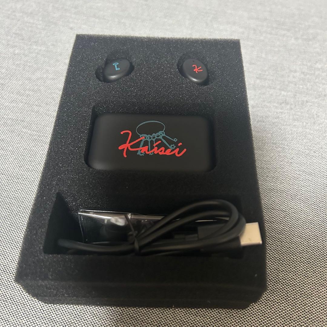 オンキョー ONKYO にじさんじ 魁星 コラボ ワイヤレスイヤフォン