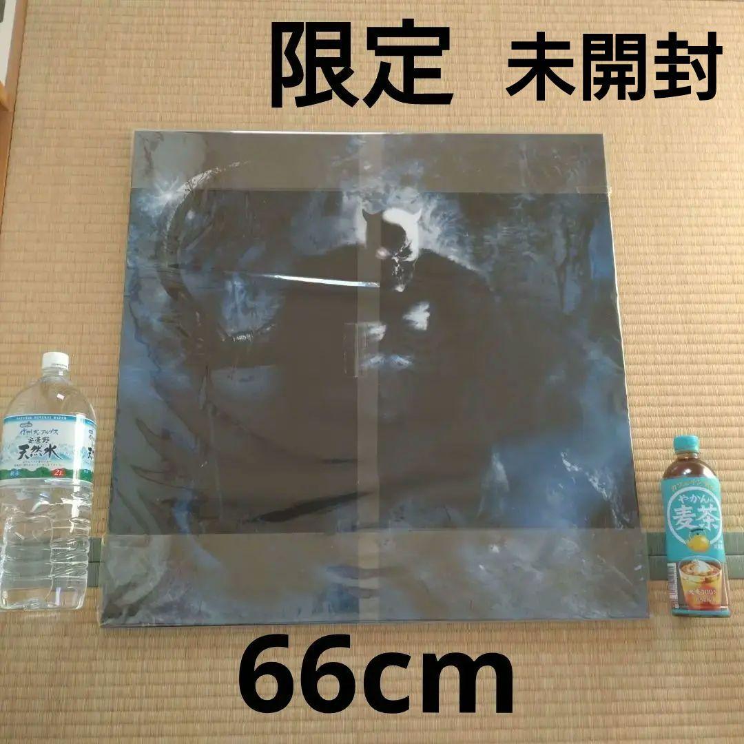 BALZAC 666mm特大ジャケット『HATRED』限定バージョン SHOCKER夏のフェア第3弾 THE “納涼” OF DIRTY BLACK SUMMER FAIR