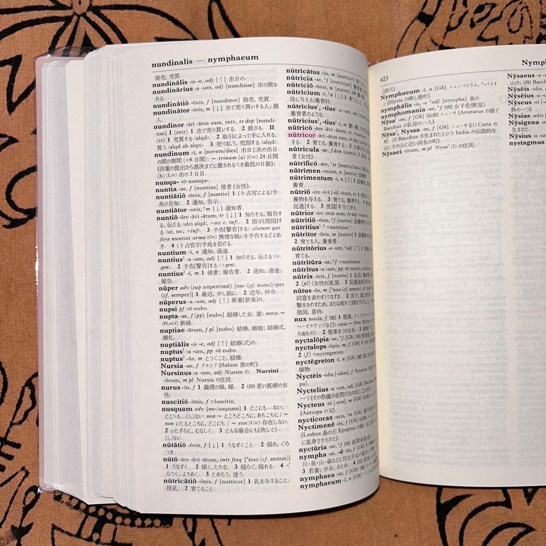 羅和辞典 研究社 (ラテン語辞典) - メルカリ