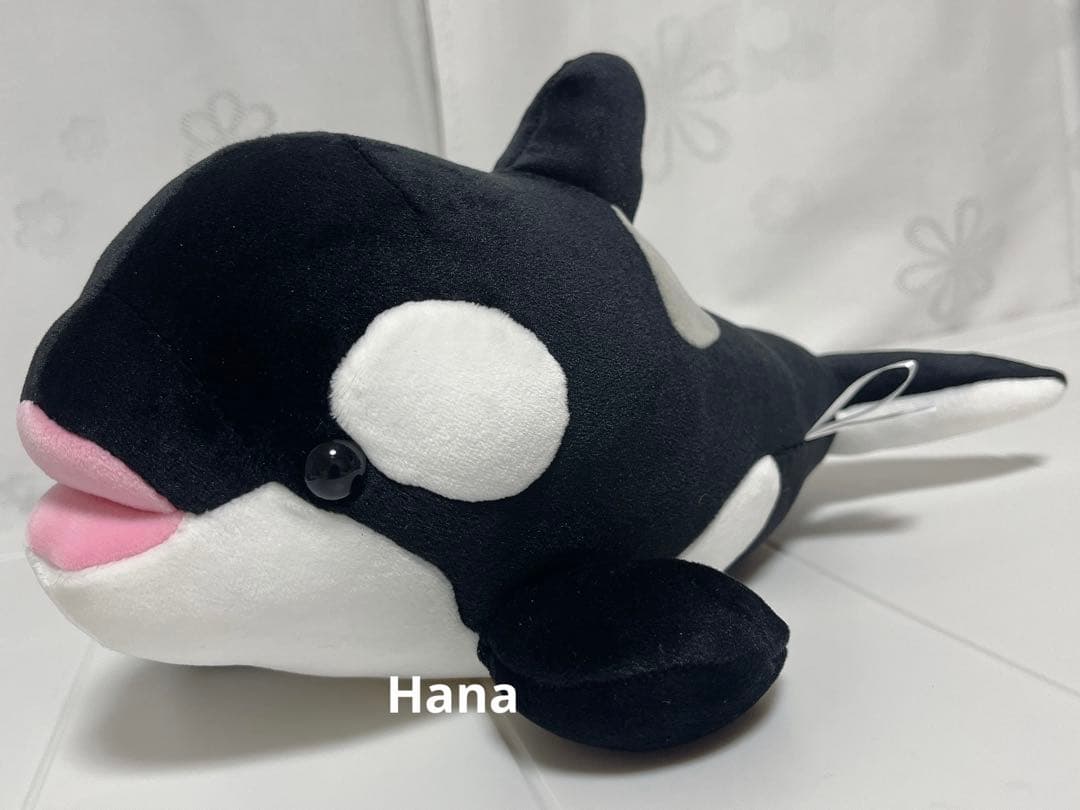 神戸 須磨シーワールド限定 水族館 シャチ もちもち やわららか