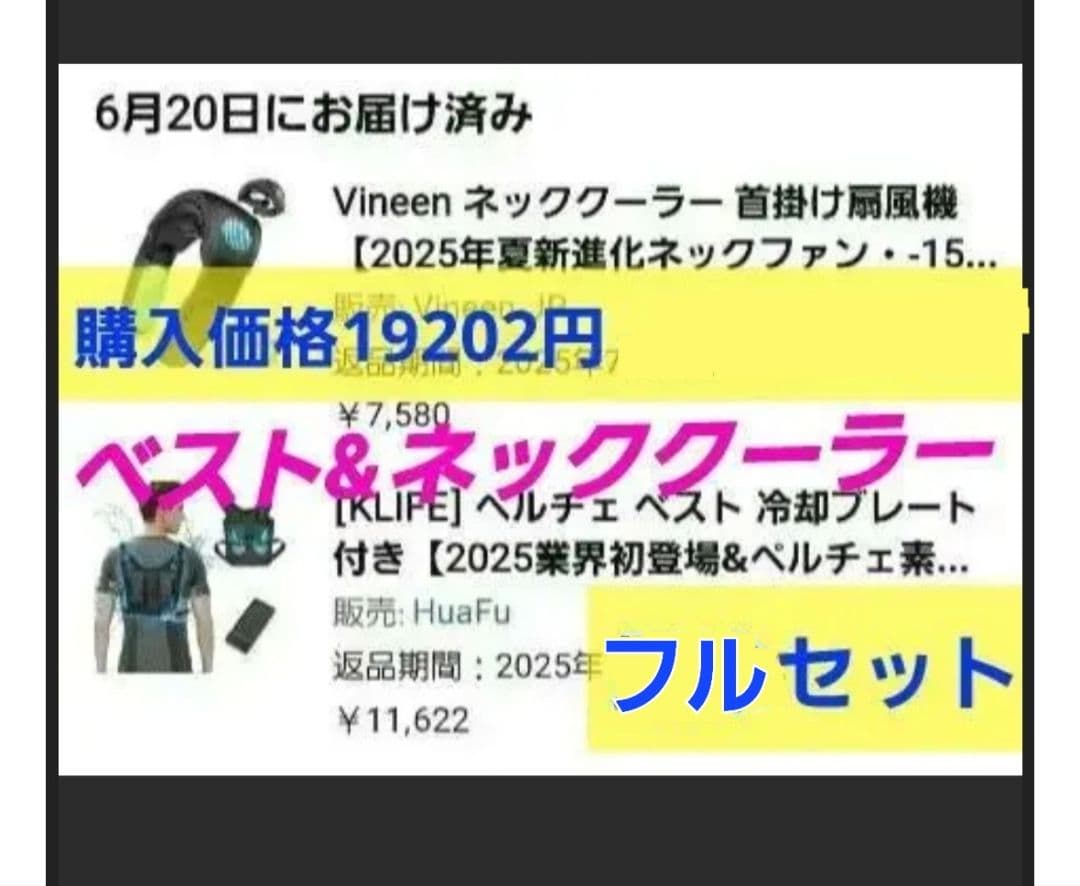 19202円分！ ペルチェベスト ネッククーラー フルセット 暑さ 冷却 新品 ペルチェベスト セット 冷暖 熱中症 暑さ対策 冷たい 冷却 クール