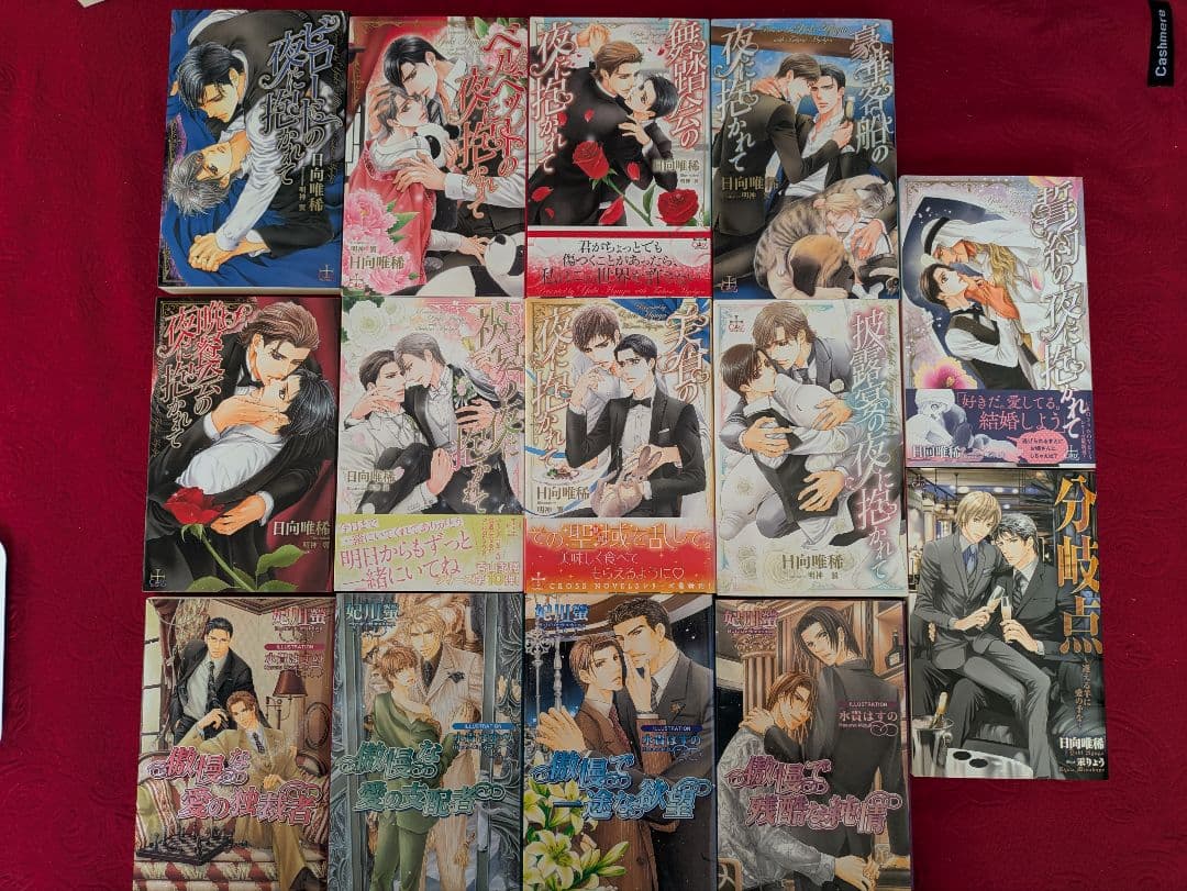 商業BLまとめ売り！　37冊　日向唯稀　愁堂れな　遠野春日　神奈木智　妃川螢