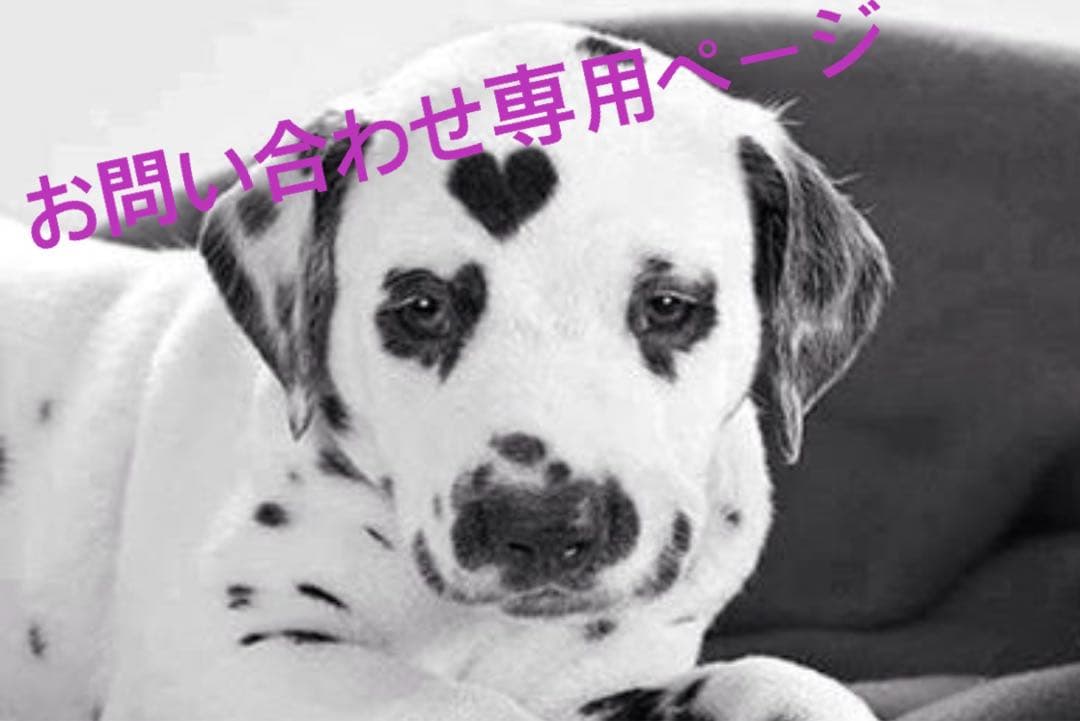 お問い合わせ専用ページ M10×65mm P1.25 フランジ付き 六角ボルト ヘキサゴンヘッド CNC SUS304