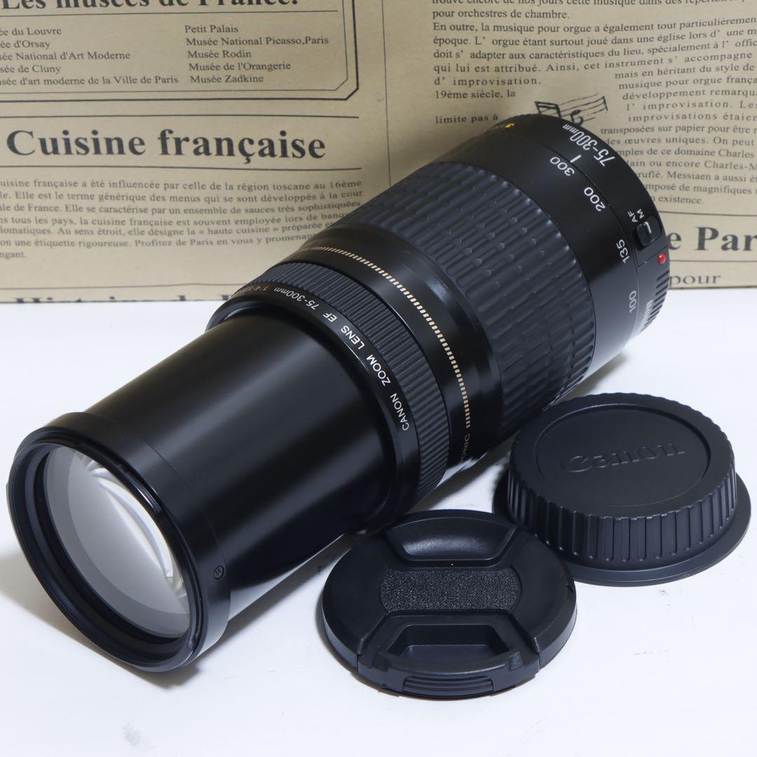 ◇ 大迫力超望遠!! ◇Canon純正 75-300mm I型 超望遠◇ ◇ 大迫力300mm超望遠 ◇Canon純正 75-300mm II型 ◇ - メルカリ