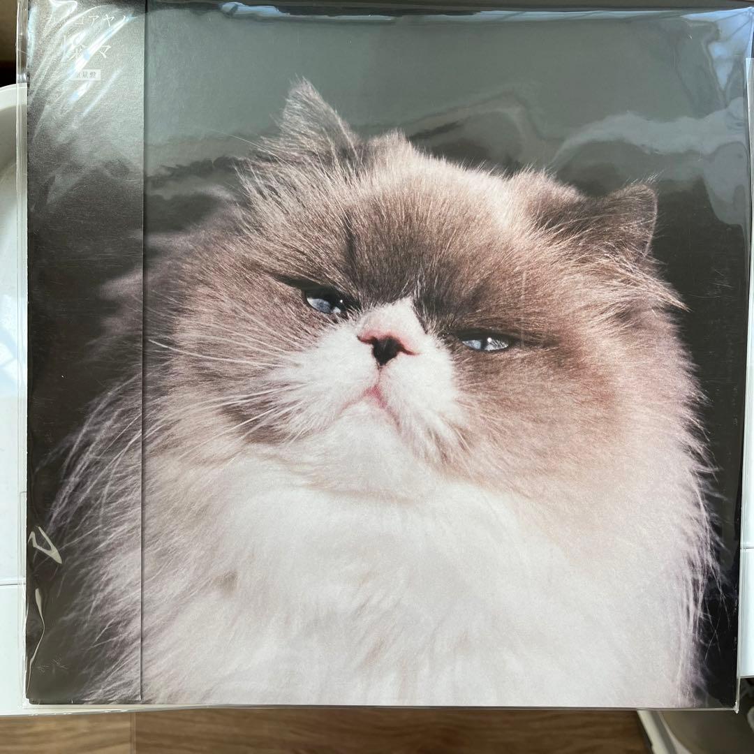 カネコアヤノ レコード 燦々 - メルカリ