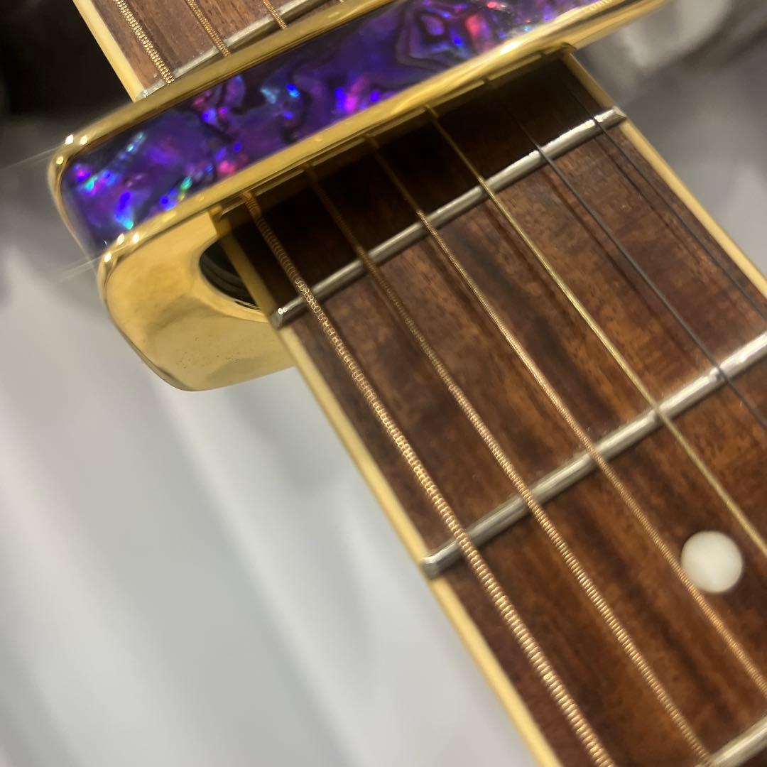 タリアカポ パープル - ギター新 モデル