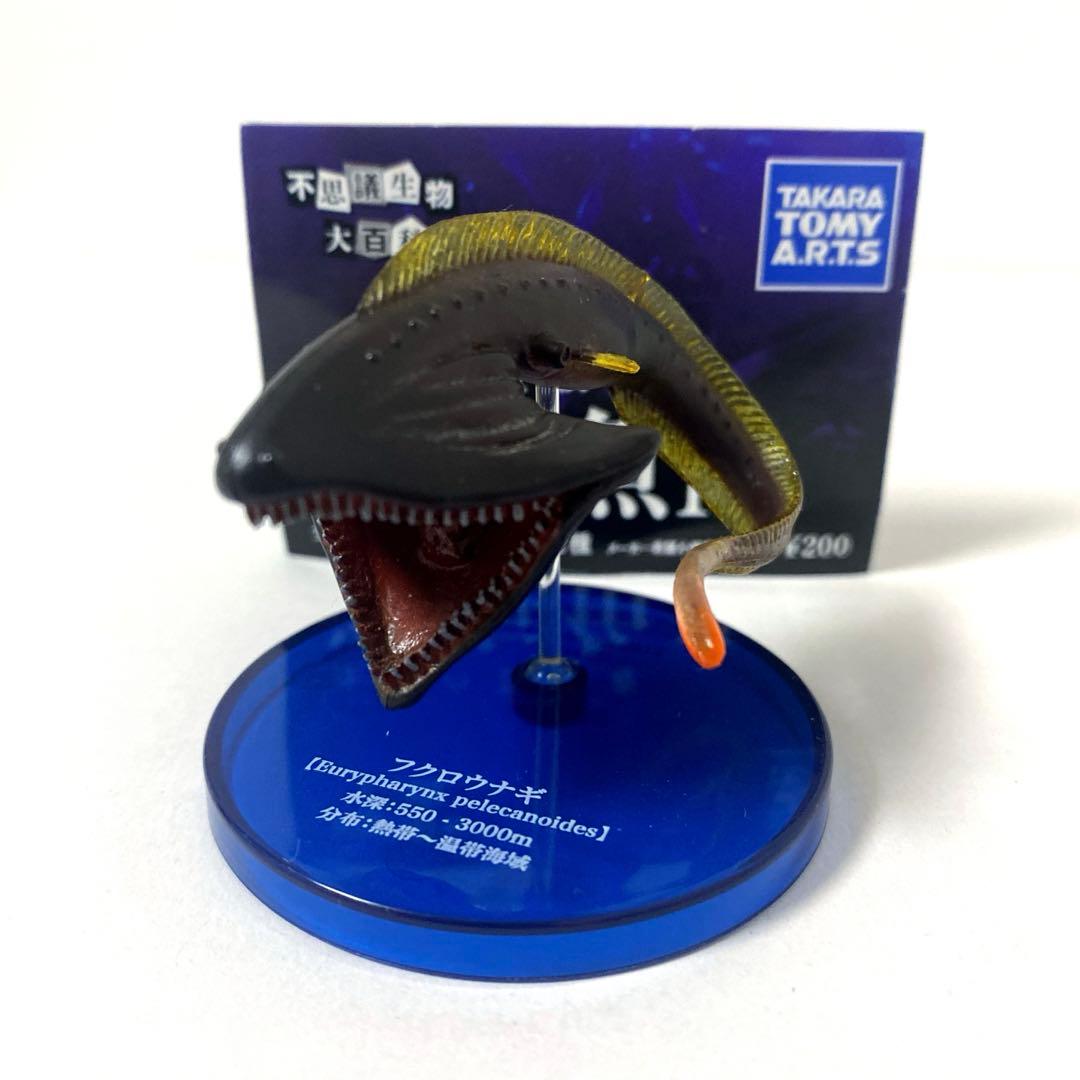 フクロウナギ 不思議生物大百科 深淵の放浪者 深海魚II フィギュア