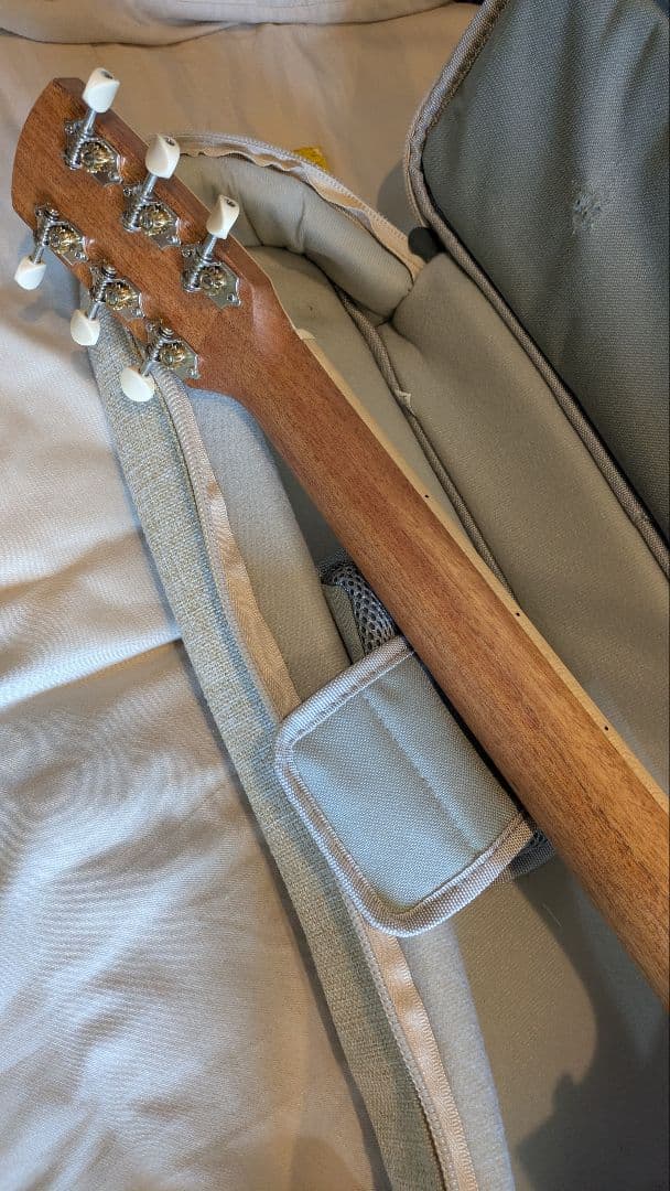 aNueNue MC10 アヌエヌエ