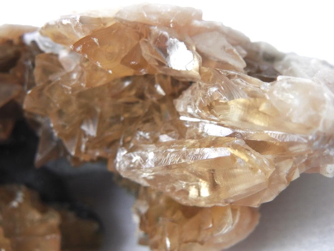 m盆・・・さま専用：方解石化した二枚貝の化石 カルサイト 鉱物標本