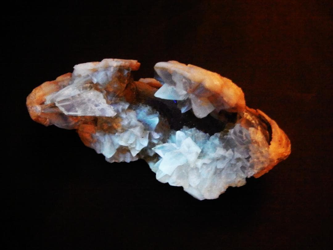 m盆・・・さま専用：方解石化した二枚貝の化石 カルサイト 鉱物標本