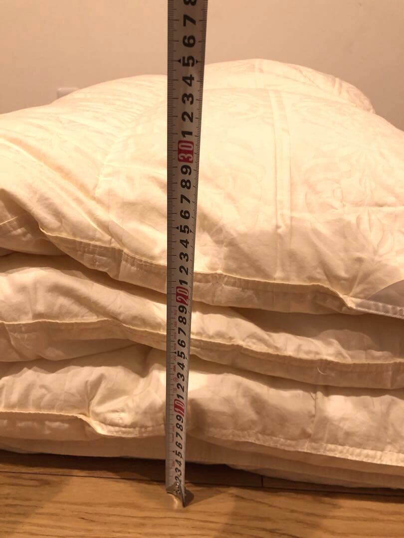 カウフマン シェーンベルグ Hグース 95% シングル　1.0k 綿100