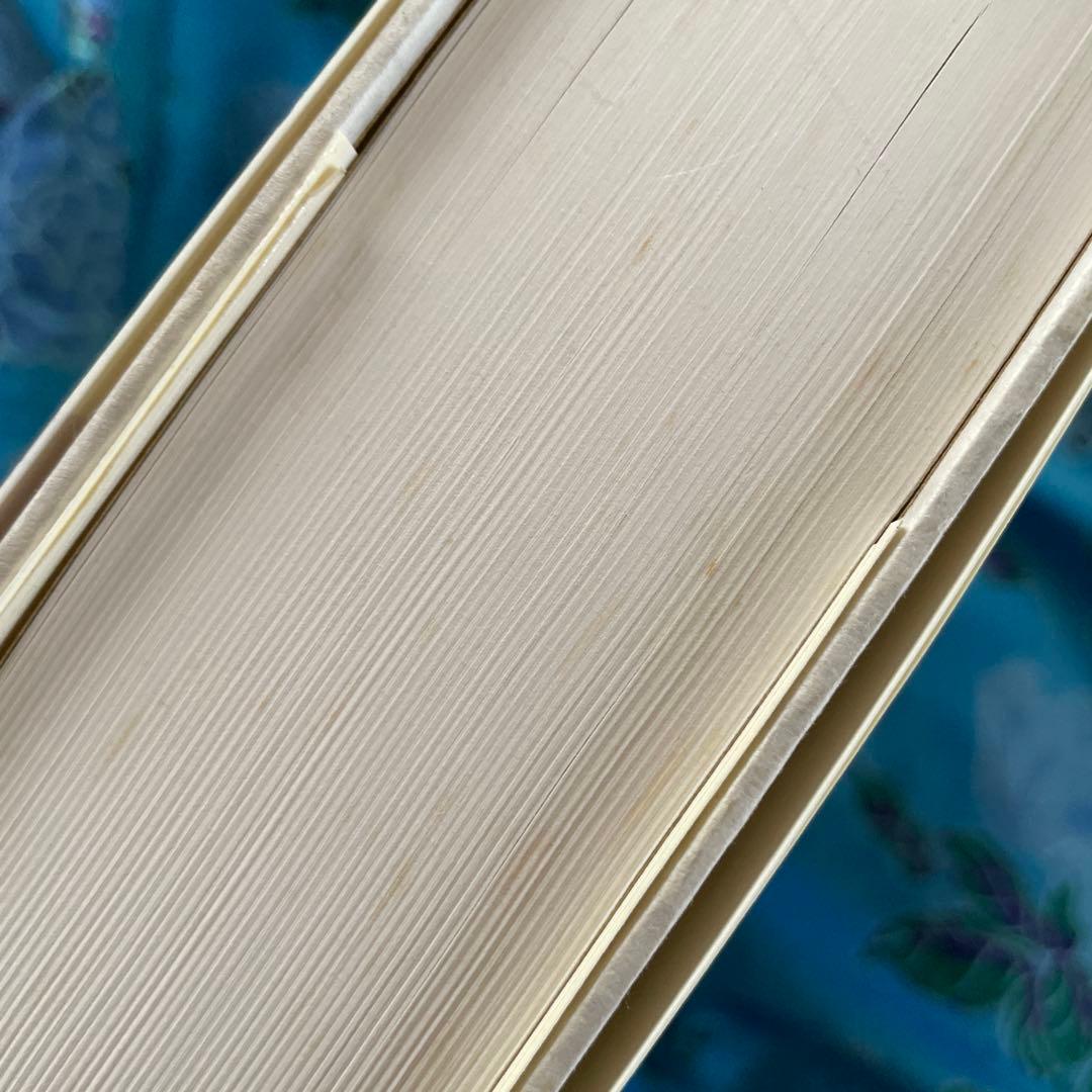 水野千依/イメージの地層-ルネサンスの図像文化における奇跡・分身