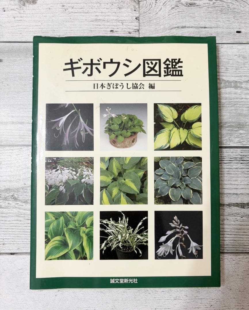ギボウシ図鑑 ギボウシ - 植物図鑑 - エバーグリーン