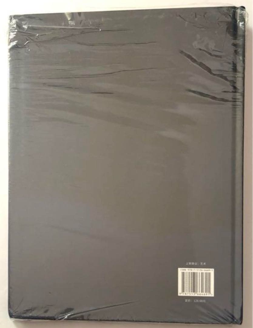 山河令 公式写真集 江湖記実録 張哲瀚 龔俊 - メルカリ