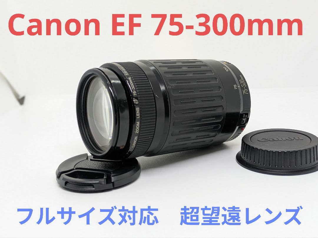 1月19日限定販売♪【超望遠レンズ】Canon EF 75-300mm Amazon.co.jp: Canon EF 75-300mm F4-5.6 IS USM : 家電＆カメラ