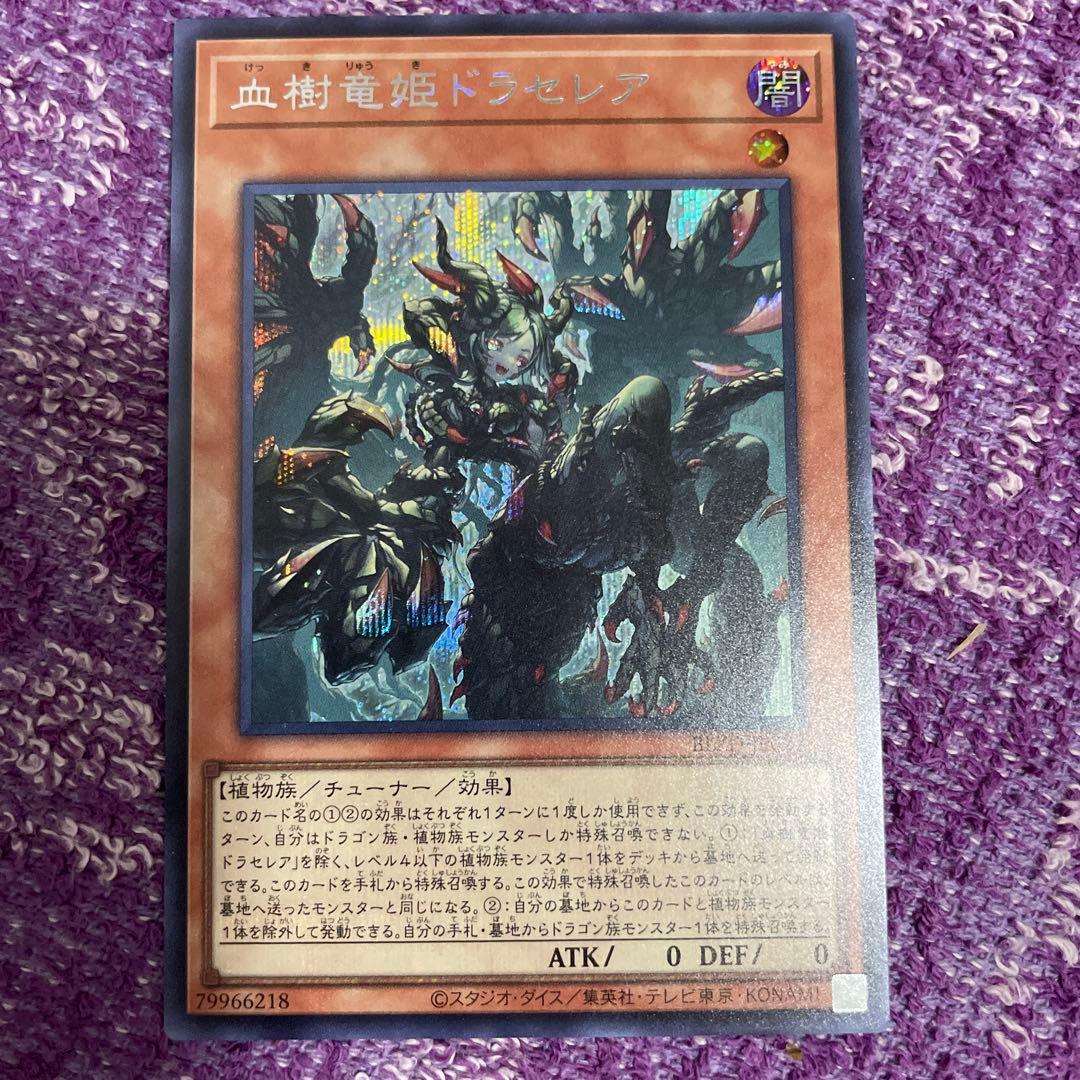 血樹竜姫ドラセリア シク シークレット - メルカリ