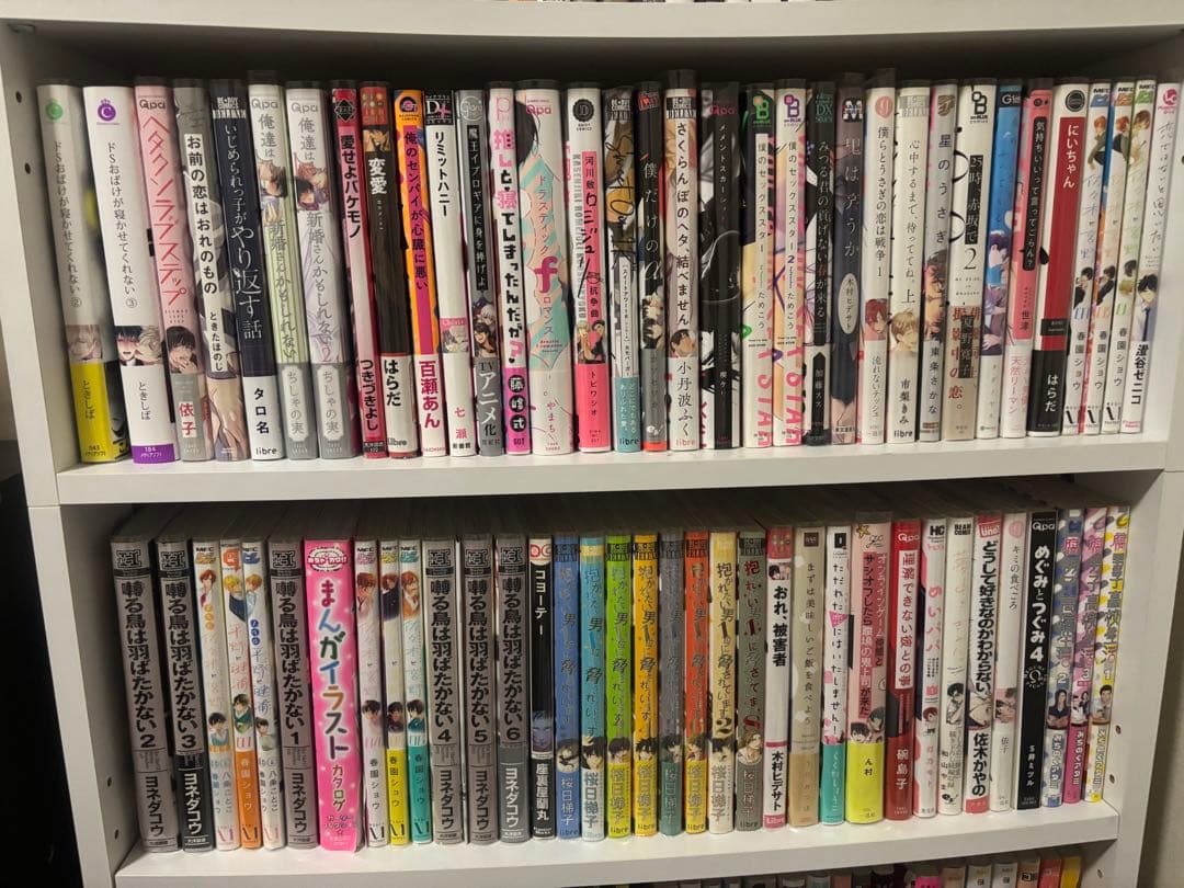 BL漫画 まとめ売り