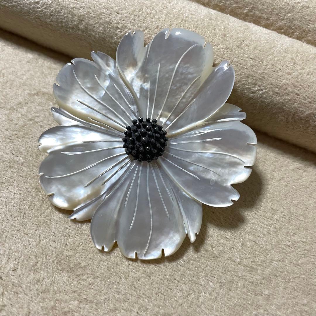 スティーブン・デュエック　白蝶貝　フラワーモチーフ ブローチ 楽天市場】シルバー925 血赤珊瑚 白蝶貝 フラワー ブローチ 天然さんご