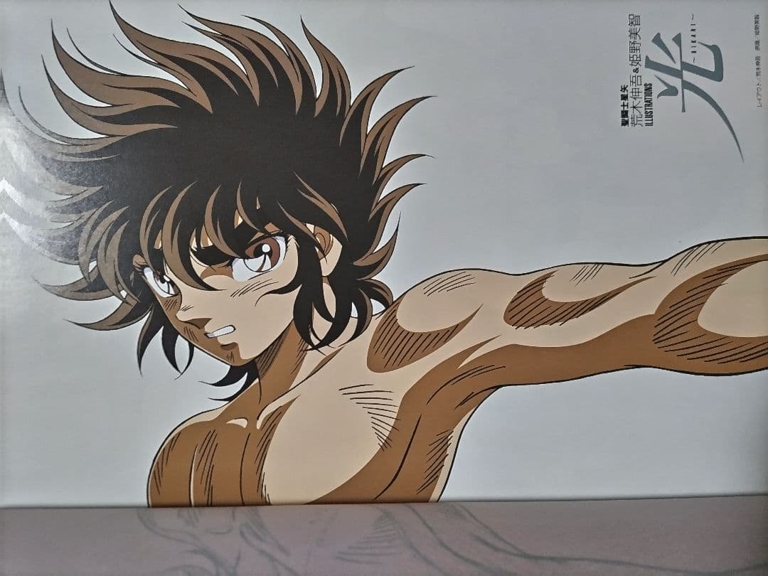 聖闘士星矢 荒木伸吾&姫野美智 ILLUSTRATIONS ~光~ - メルカリ