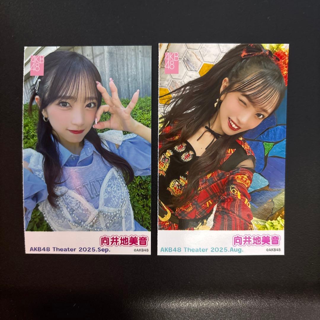 AKB48 向井地美音 劇場 ピンポン 生写真 2025 9月 8月 セット - メルカリ