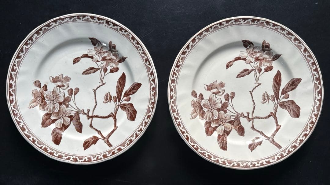 フランスアンティークプレート ブラウン　花柄2枚セット 2枚あり！繊細な花束のような花柄のプレート（皿） フランス
