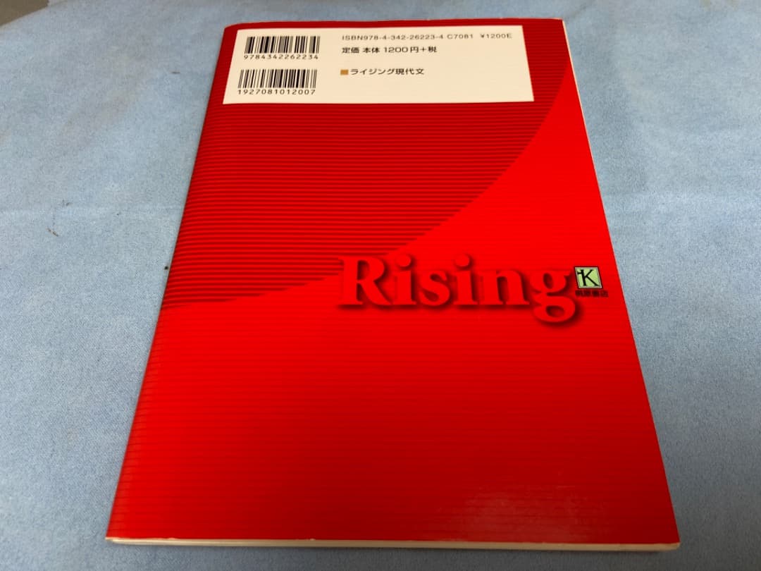 値下げしました】ライジング現代文 - メルカリ