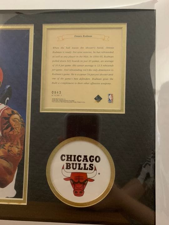 NBA 超貴重 ロッドマン シリアルナンバー入り Limited edition - メルカリ