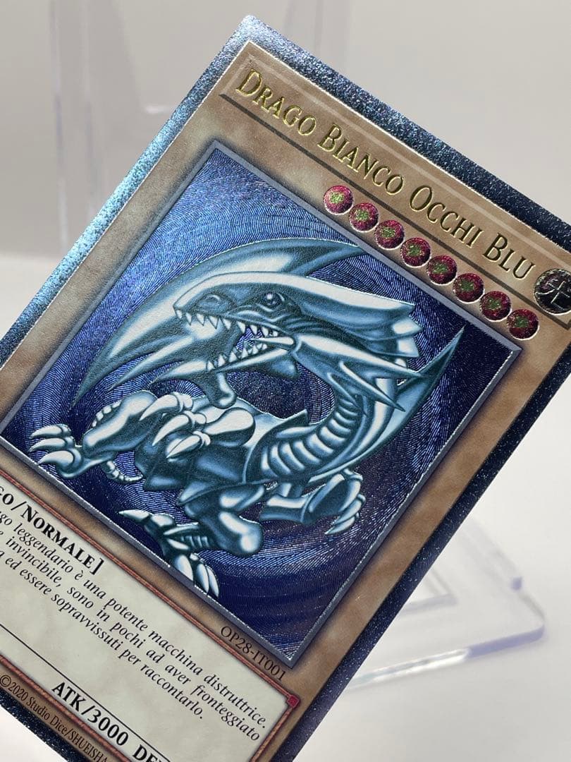 彫深め】希少 イタリア語 青眼の白龍 レリーフ 遊戯王 OTS