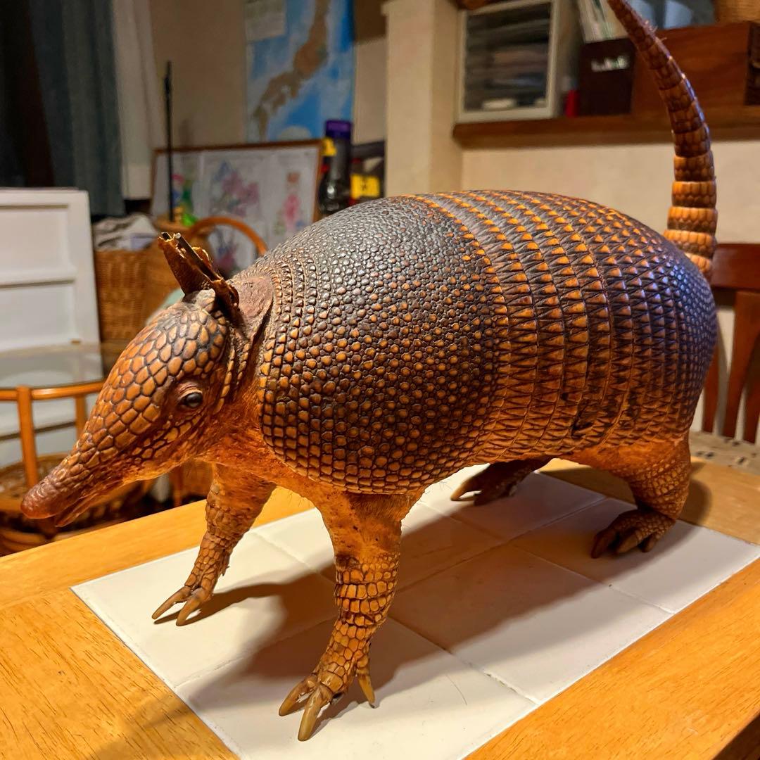 お買い得】アルマジロ 剥製 - メルカリ