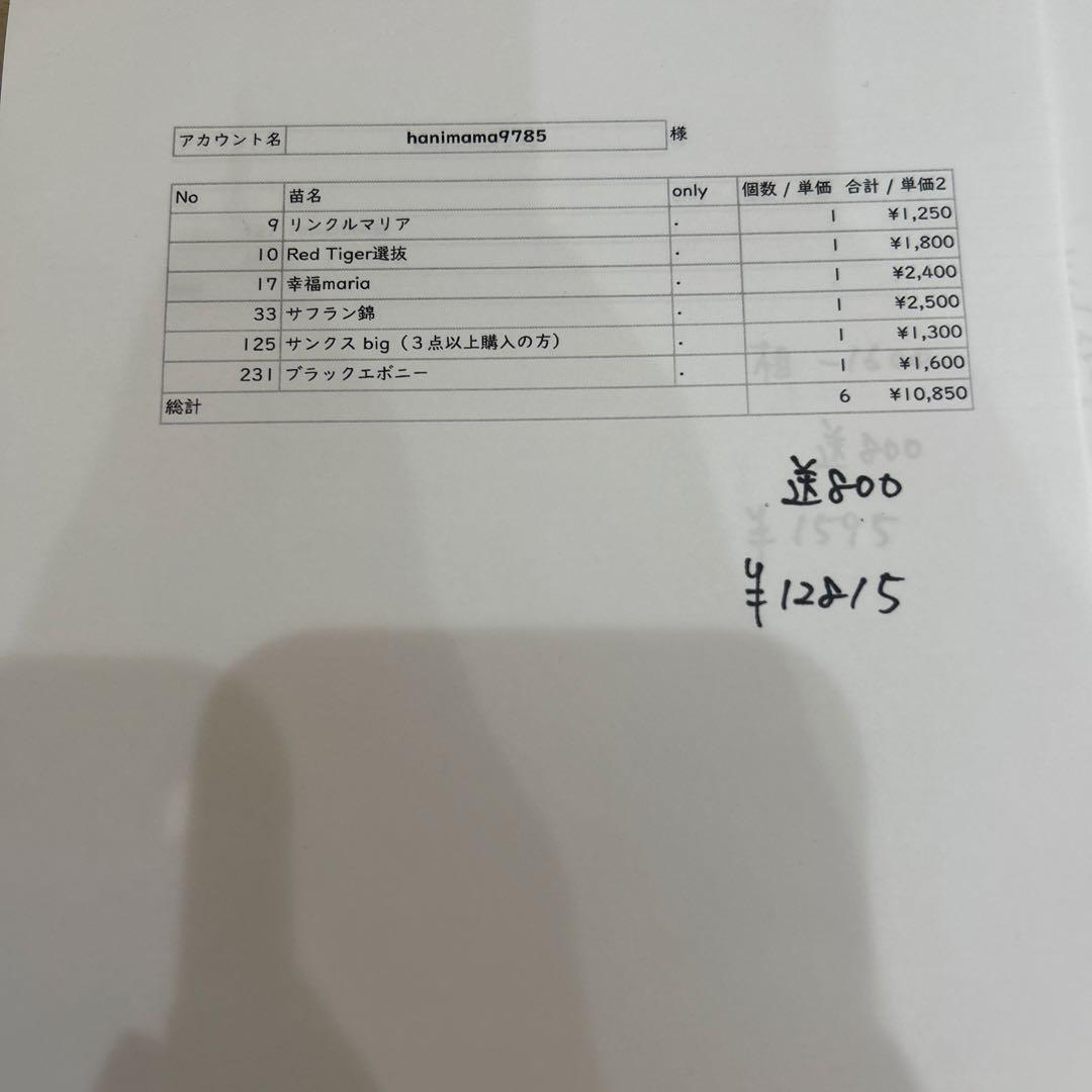 13.hanimama様