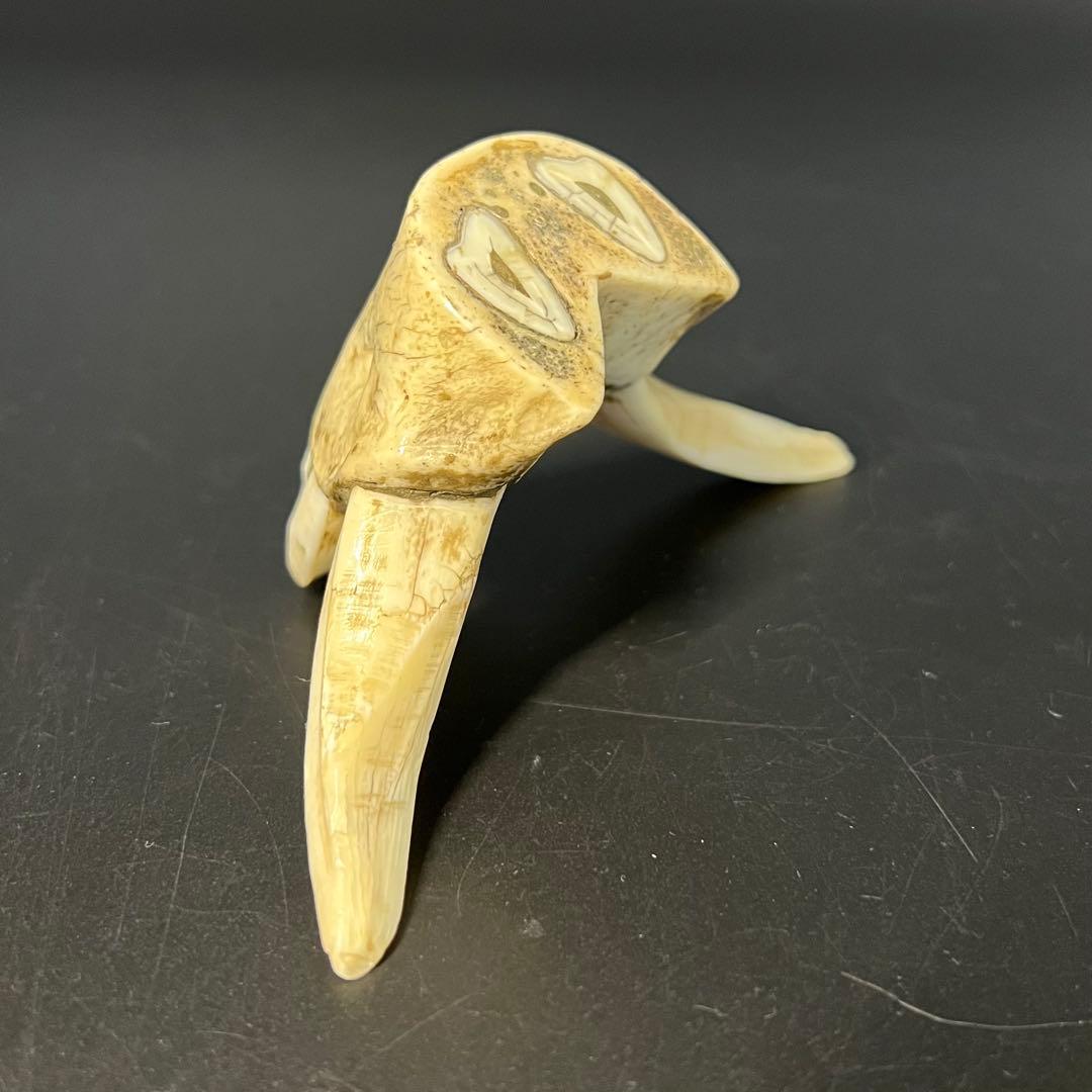 ◎古道具 庵々◎江戸-明治期 獣牙根付□提げ物山伏猟師魔除け呪物