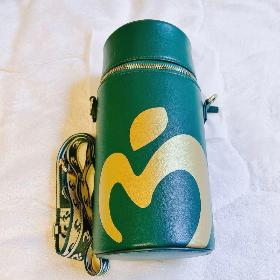 Mrs. GREEN APPLE ライトスティックケース 緑 - メルカリ