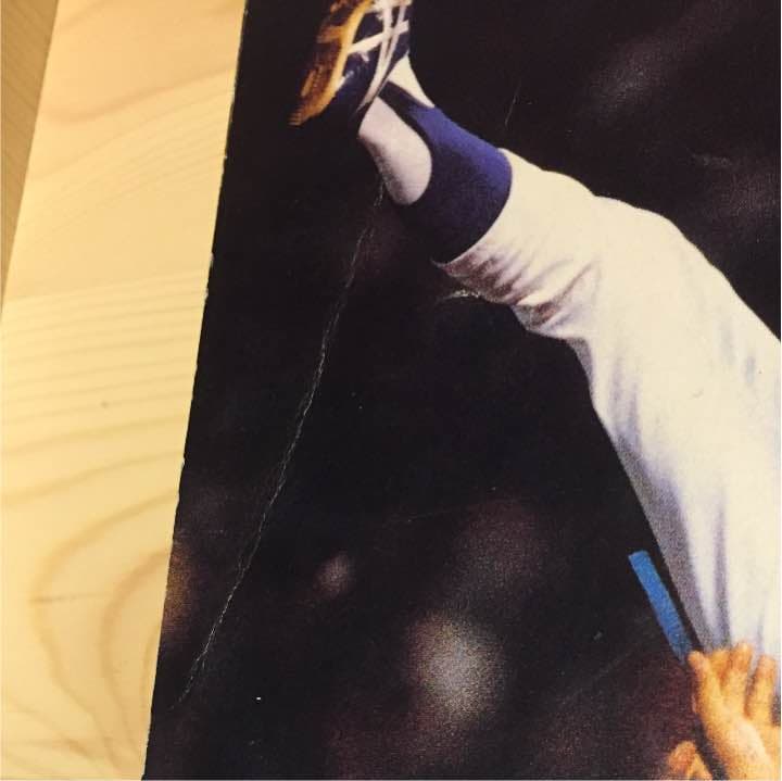 月刊ドラゴンズ 1988増刊号