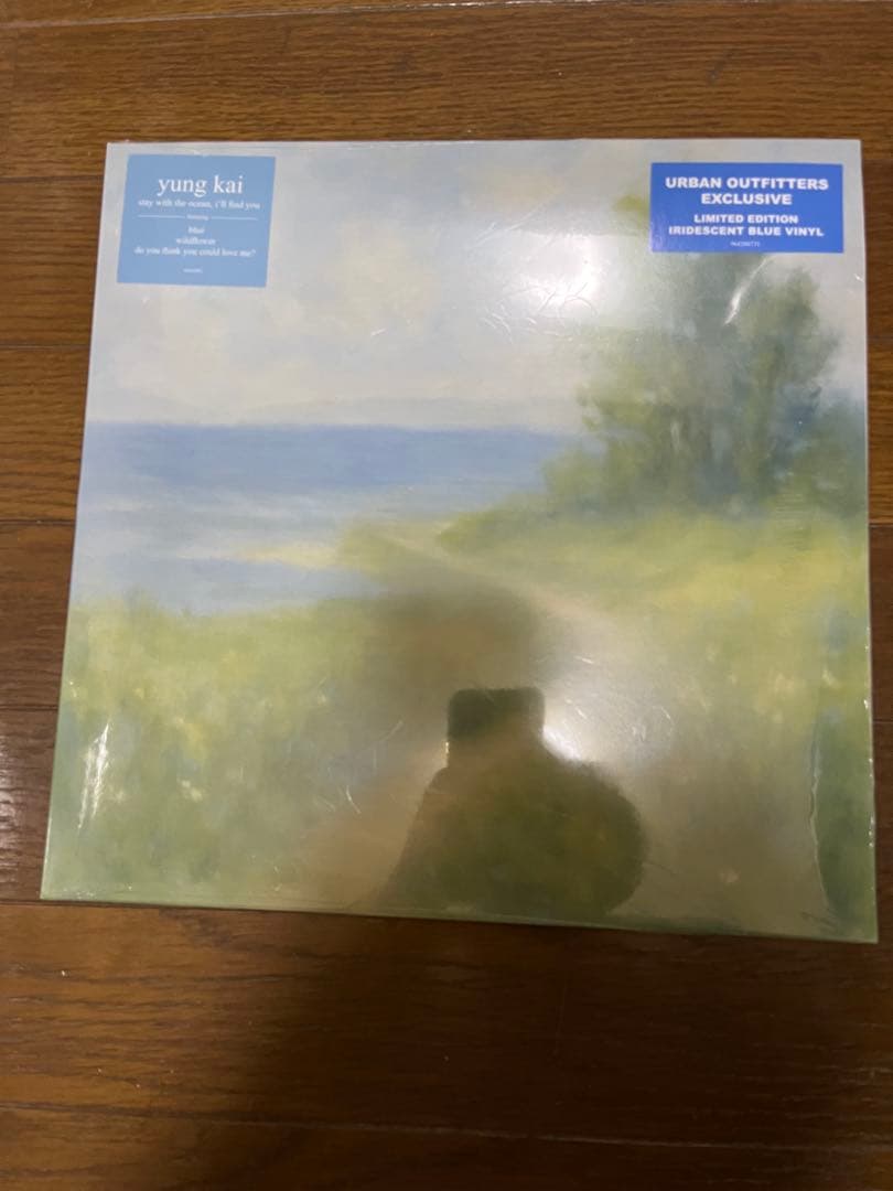 YUNG KAI Blue アナログレコード フリーレン YUNG KAI Blue アナログ