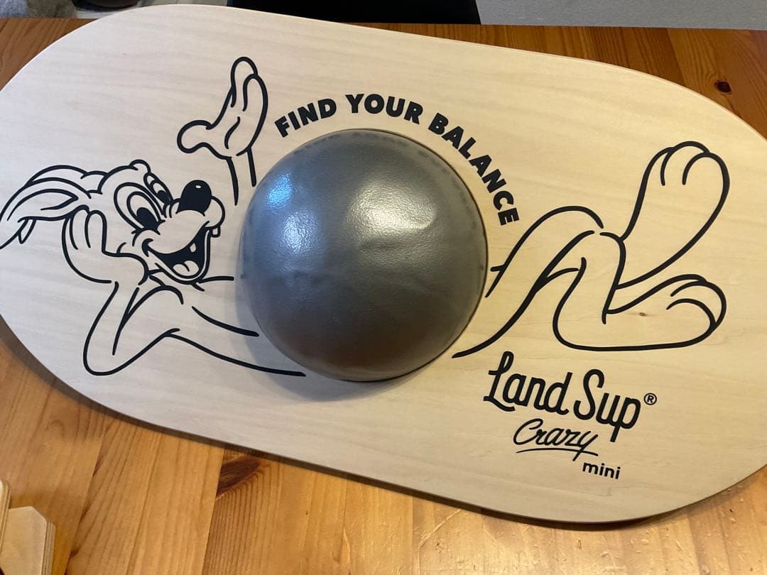 LandSup®︎ Crazy mini スペシャルセット ディスプレイスタンド付