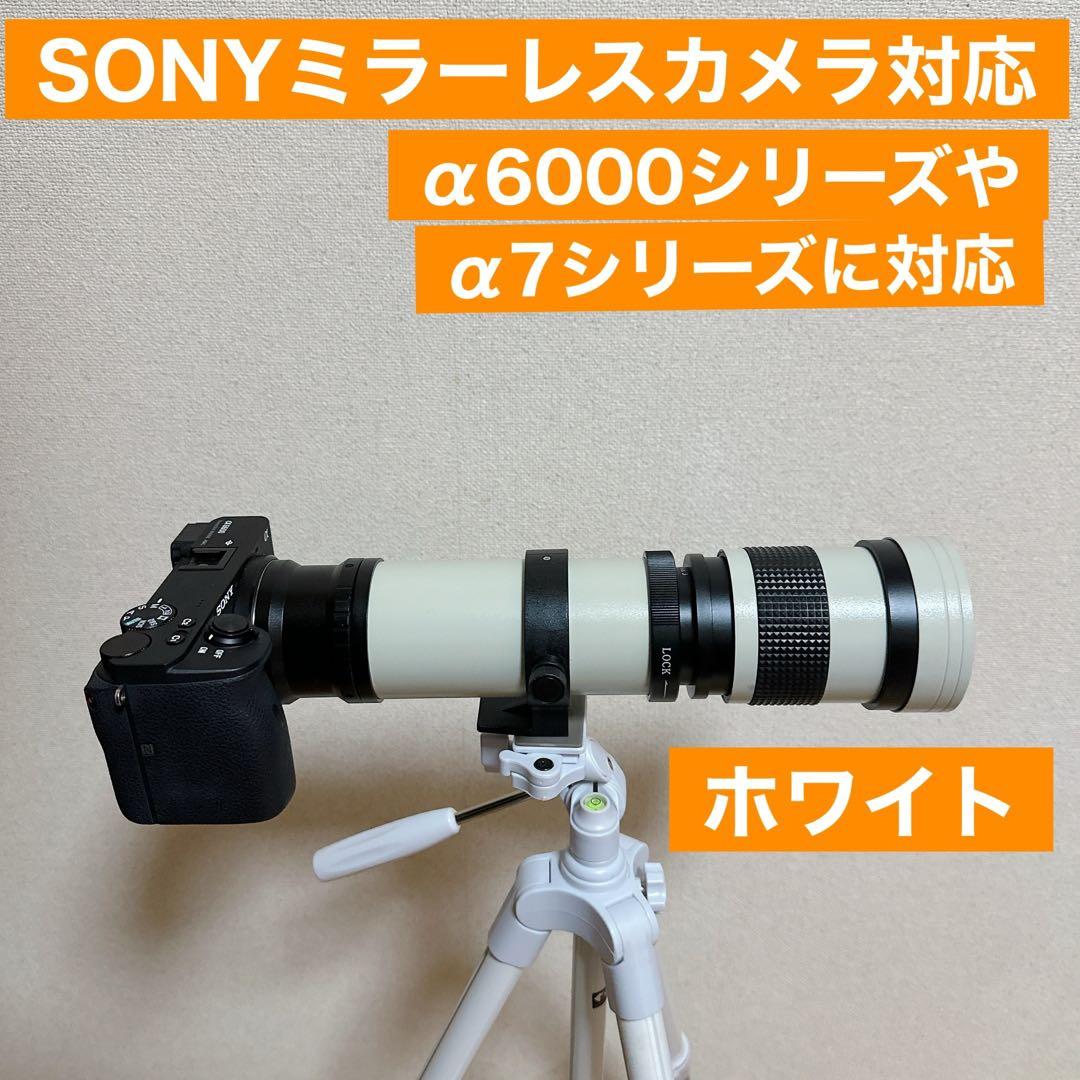 SONY ミラーレス用 超望遠レンズ サードパーティ製 初心者でもOK
