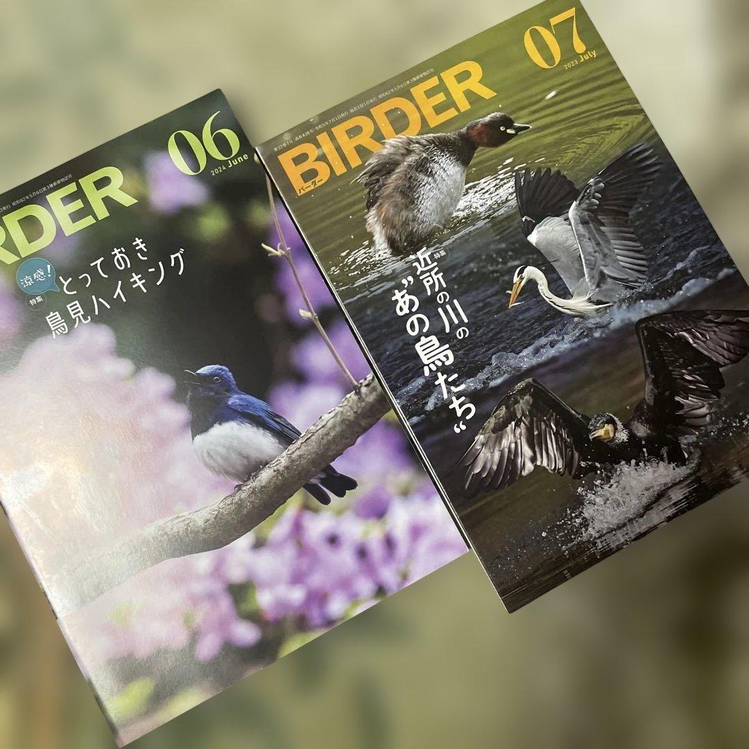 BIRDER 2024年06・2023年07号セット バードウオッチングマガジン