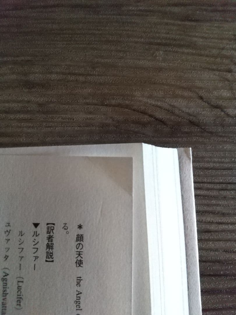 名*し様 シークレット・ドクトリンを読む