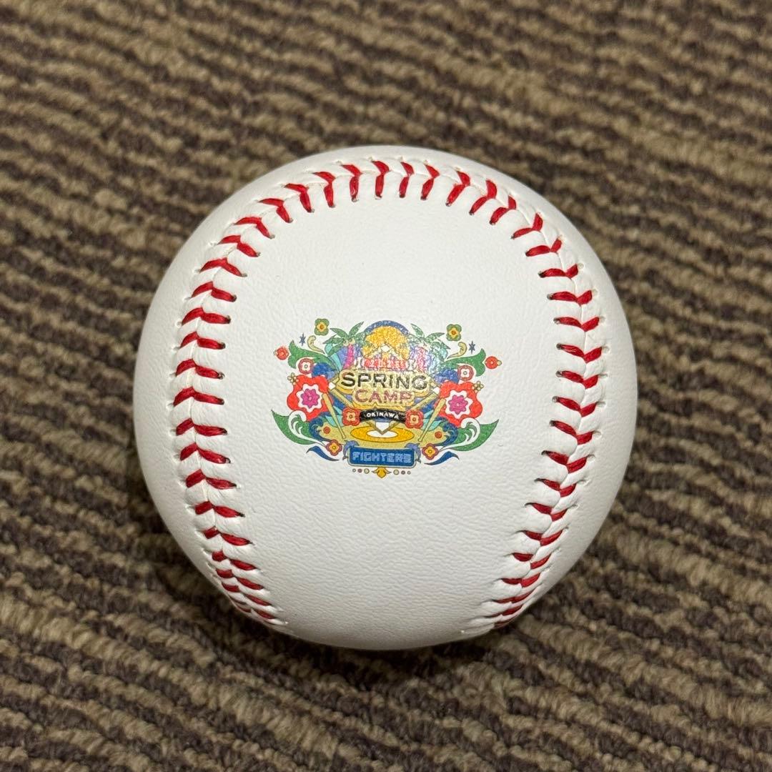 北海道日本ハムファイターズ 達孝太 直筆サインボール 沖縄キャンプ