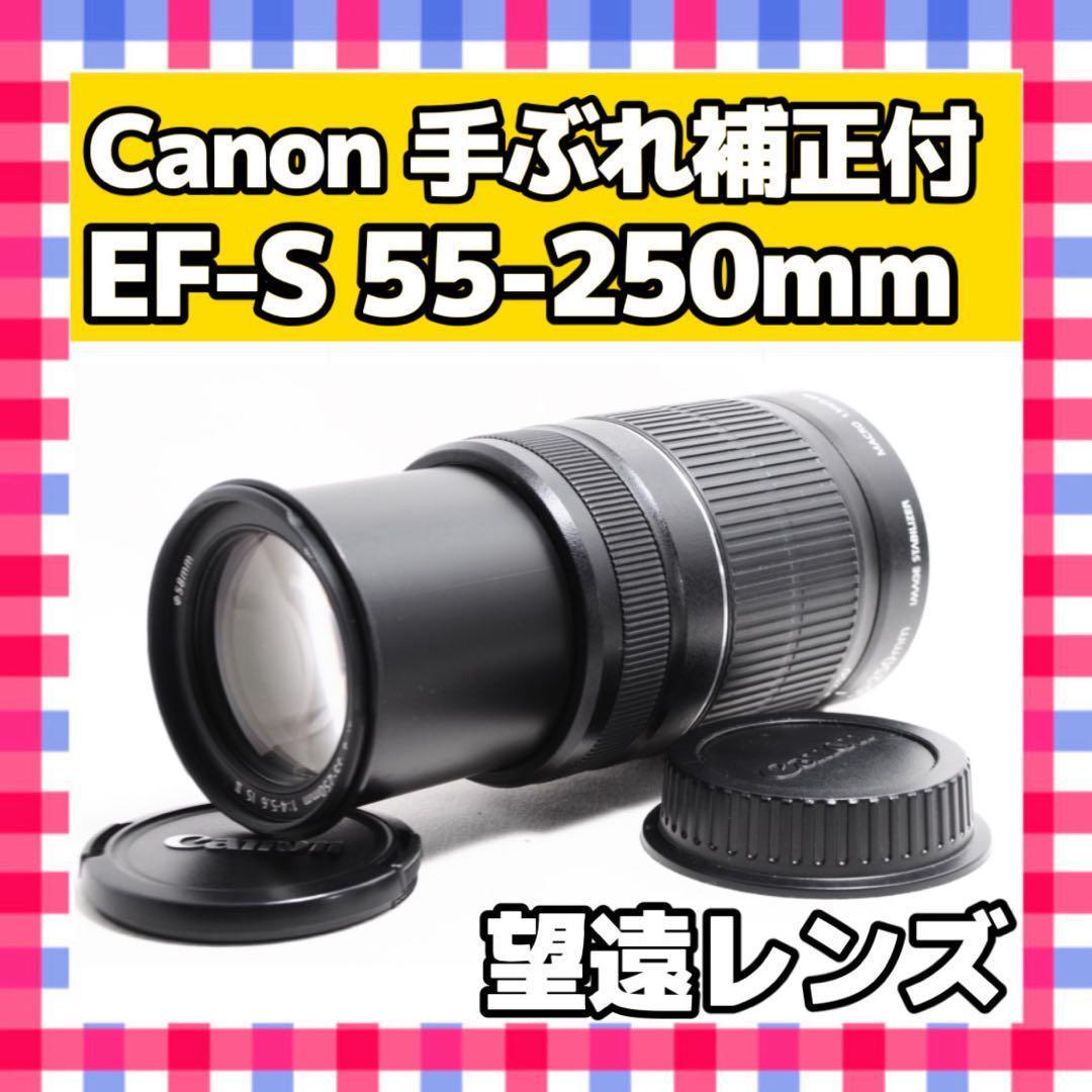 Canon EF-S 55-250mm F4-5.6 IS❤️手振れ補正❤️望遠 Canon EF-S55-250mm F4-5.6 IS STMを徹底解説。作例からレビューまで