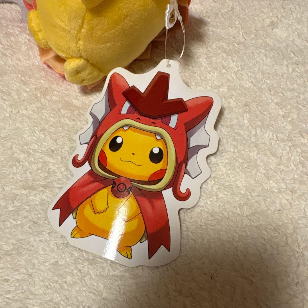 ポケモンセンター ヒロシマ 赤いギャラドス ポンチョ ピカチュウ