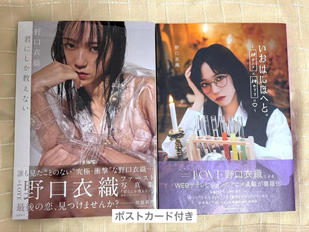 野口衣織 君にしか教えない いおはにほへと。2冊＋ポストカード セット